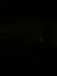 Bruno_Lima_Francisco — Stripchat stream photo (Jul 2026)