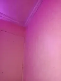 ---sophia--- — Stripchat stream photo (Feb 2026)