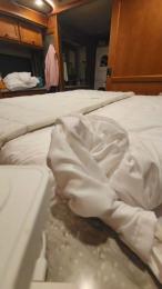 atime2 — Cam4 stream photo (Sep 2026)