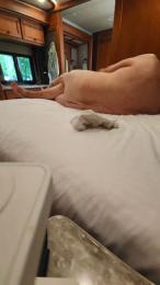 atime2 — Cam4 stream photo (Aug 2026)