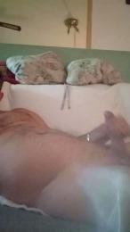 gspinoyeyahooe1 — cam4でウェブカムモデルオンライン