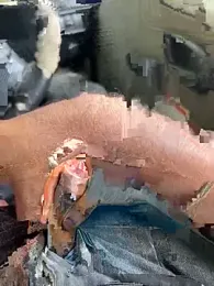 Dakku_69 — Stripchat stream photo (Mar 2026)