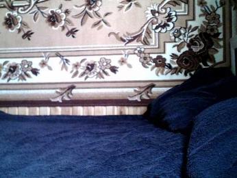 Viktoriia21 — Bongacams stream photo (Feb 2026)