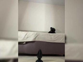 Honey_buns — bongacamsでウェブカムモデルオンライン