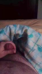 torcado47 — Cam4 stream photo (Mar 2026)