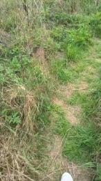 marion331 — Cam4 stream photo (Sep 2026)