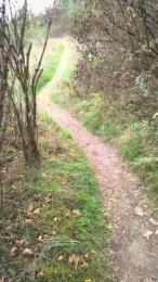 marion331 — Cam4 stream photo (Sep 2026)