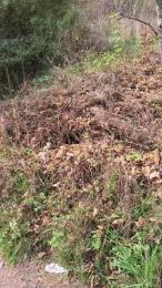 marion331 — Cam4 stream photo (Sep 2026)