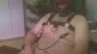 danni82 — Cam4 stream photo (Mar 2026)