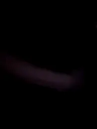 Fiona_Kent_ — Stripchat stream photo (Jan 2026)