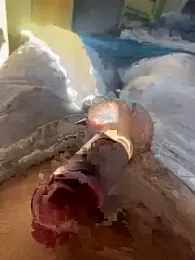 toto36643 — stripchat