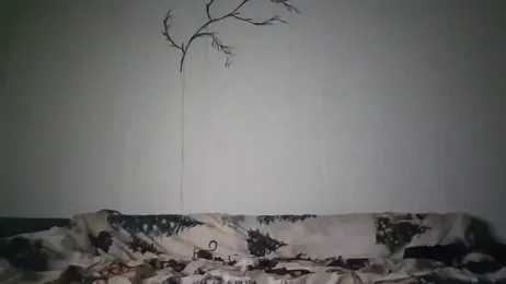 AlyaX_X — Stripchat stream photo (Jan 2026)