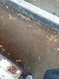 andresj22hot — Stripchat stream photo (Apr 2026)