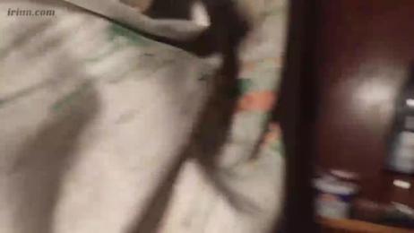 Dimka132 — Stripchat stream photo (Apr 2023)