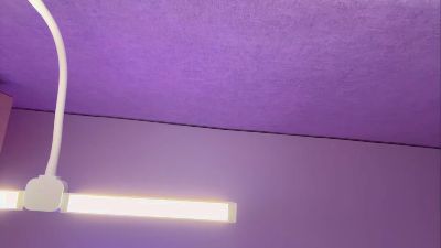 veelvetpulse — Cam4 stream photo (Feb 2026)