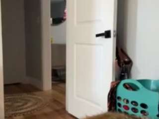 laylared — Camsoda stream photo (Mar 2026)