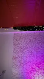 Soy_Daniela — Stripchat stream photo (Feb 2026)