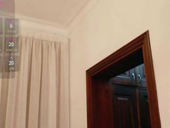 ViktoriaSillk — Bongacams profile photo