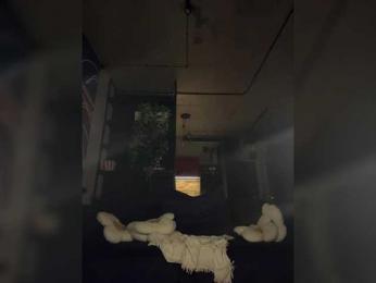 -Your-Michelle- — bongacams