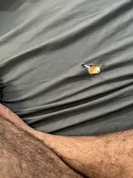 bluegirlandboy — Stripchat profile photo