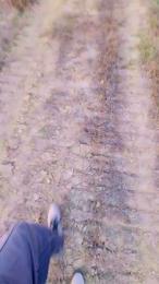 Foreveranall — Cam4 stream photo (Oct 2026)