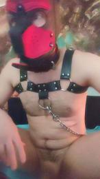 Dada87De — cam4でウェブカムモデルオンライン