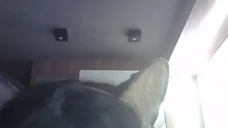 SkinnyKitten — Stripchat stream photo (Apr 2026)