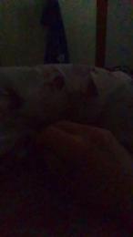 Lorenzinovg — Cam4 profile photo