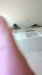 MetisBoMembre — Cam4 profile photo