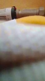 minex2 — cam4でウェブカムモデルオンライン