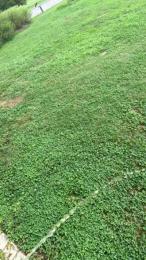 boss697 — Cam4 stream photo (Aug 2025)