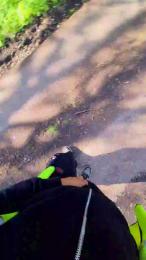 Bigdick95daddy — cam4でウェブカムモデルオンライン