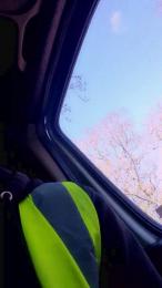 Bigdick95daddy — cam4でウェブカムモデルオンライン