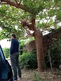 BZH45 — stripchatでウェブカムモデルオンライン