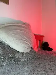 CRAZY-BOY99 — Stripchat stream photo (Mar 2026)