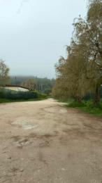 Danyblack1985 — cam4でウェブカムモデルオンライン