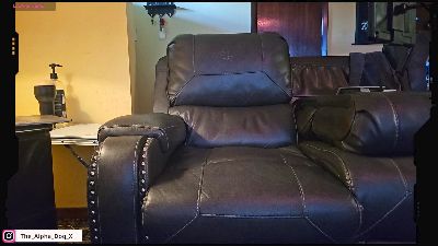 The_Alpha_Dog — Cam4 stream photo (Sep 2026)