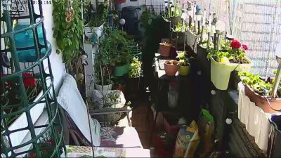sweetnude83 — Cam4 stream photo (May 2026)