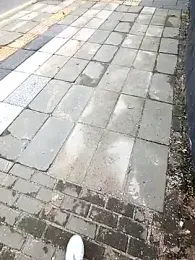 musa27272 — Stripchat stream photo (Mar 2026)