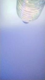 Donostipar — Cam4 stream photo (Apr 2026)