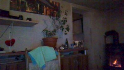 Tannileinchen3 — Cam4 stream photo (Jul 2026)