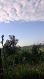 uncutcockitaly — Cam4 profile photo