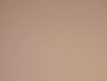 forestproject — chaturbate