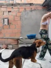 Adele66 — Stripchat stream photo (Nov 2023)