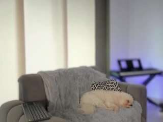 ashleygreene — camsodaでウェブカムモデルオンライン