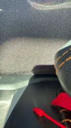 Peludeteee — Cam4 stream photo (Nov 2025)