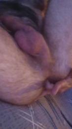 Surpriseplaisir — Cam4 stream photo (Jun 2026)