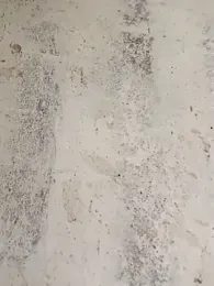 Yash_Sharma18 — Stripchat stream photo (Apr 2026)