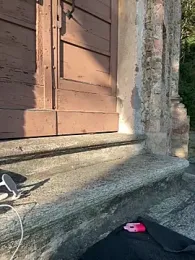 Mia_Railey — Stripchat stream photo (Apr 2026)