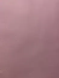 Cute_palak001 — stripchatでウェブカムモデルオンライン